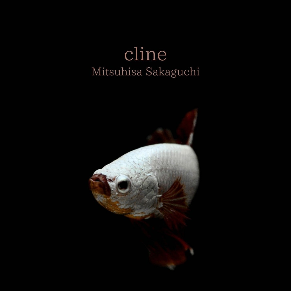 cline